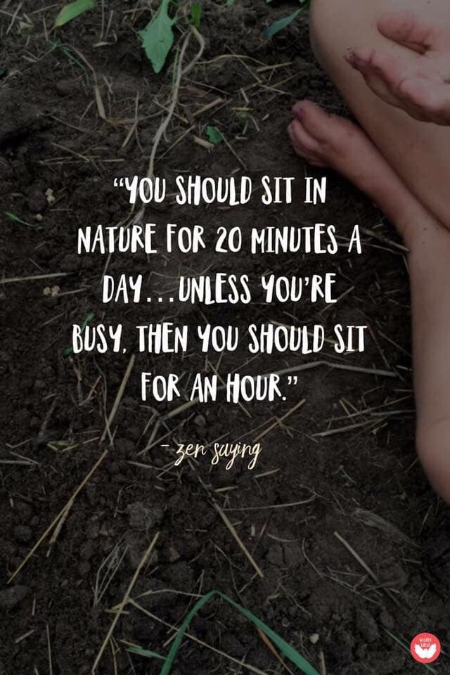 sit in nature.jpg