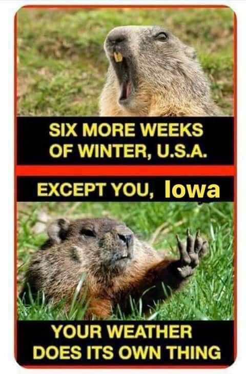 six weeks winter except IA.jpg