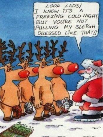 sleigh.jpg