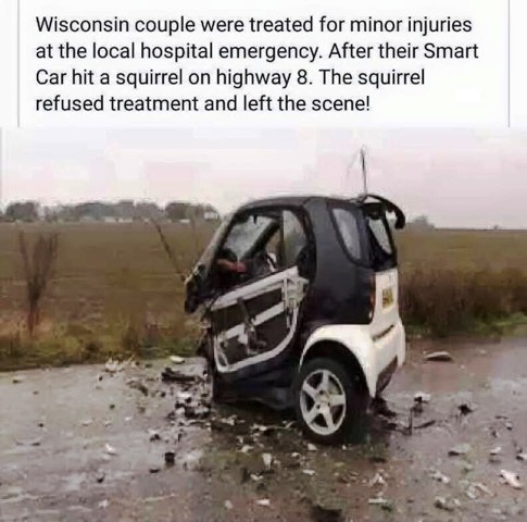 smart car hits squirrel.jpg
