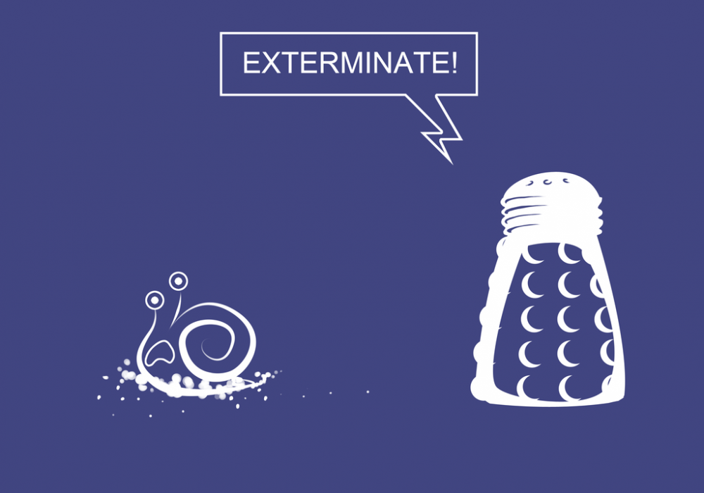 SnailExterminate.png