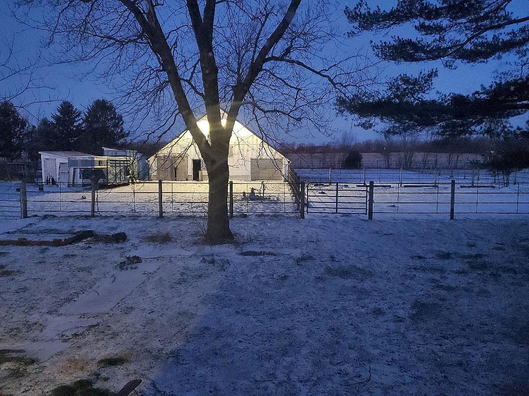 Snow day 03-18-23.jpg