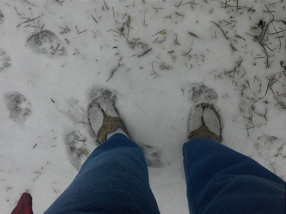 snow flip flops.jpg