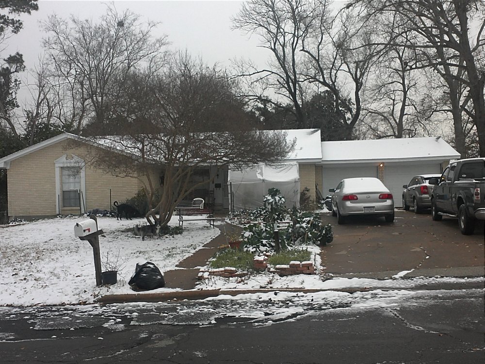 snow house.jpg