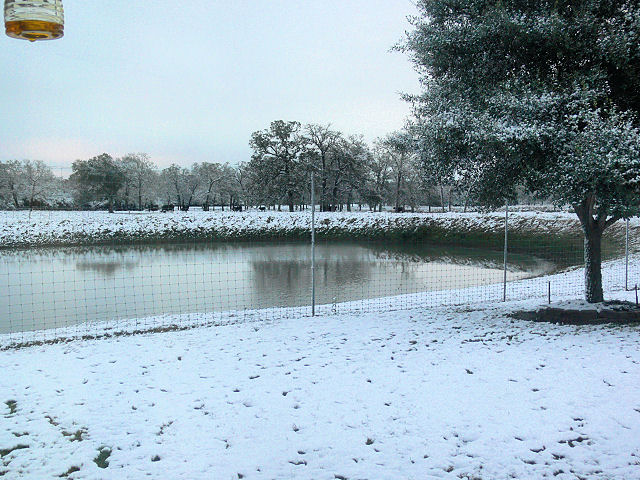 Snow_2_120817.jpg