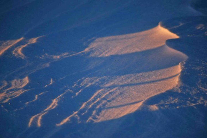 snowd1.jpg