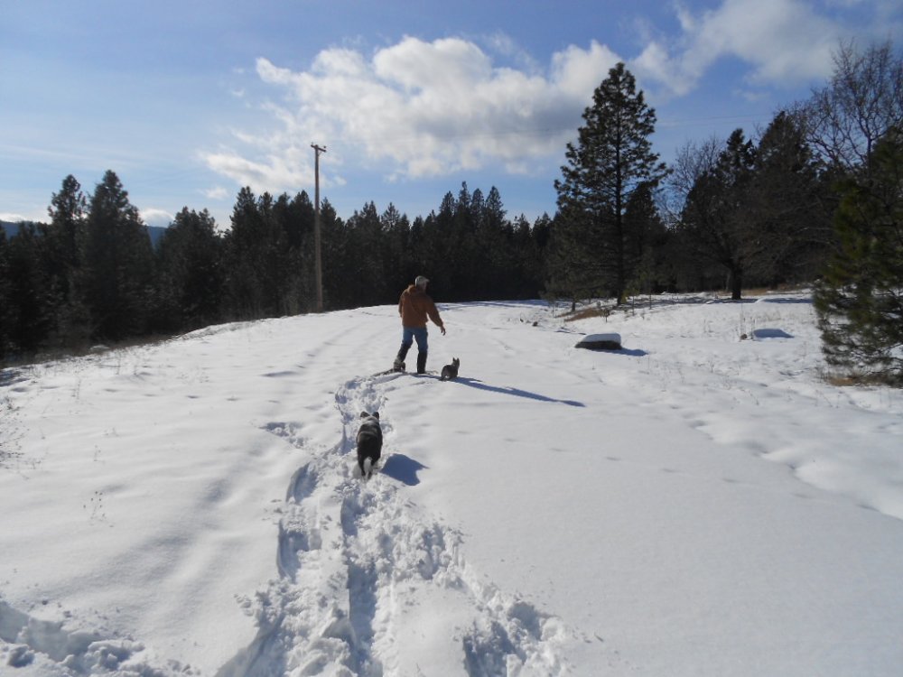 snowshoeing 2.11.14 002.JPG