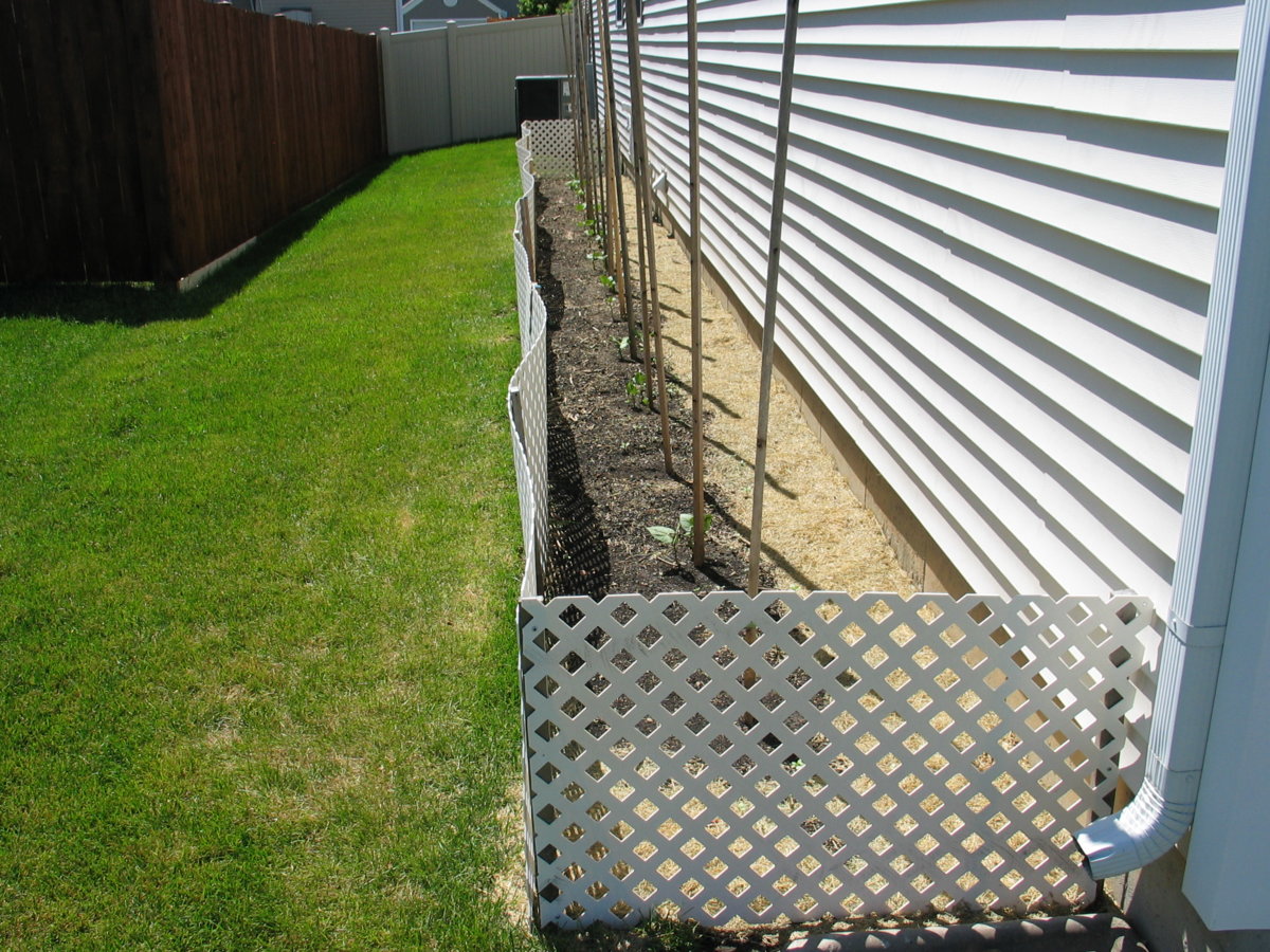 South Flower Bed 6-15-17.jpg