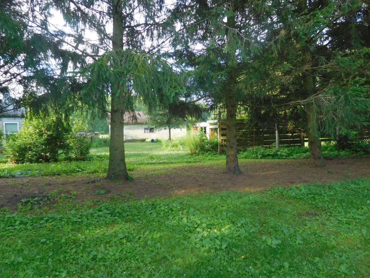 South yard, 07-04-19.jpg