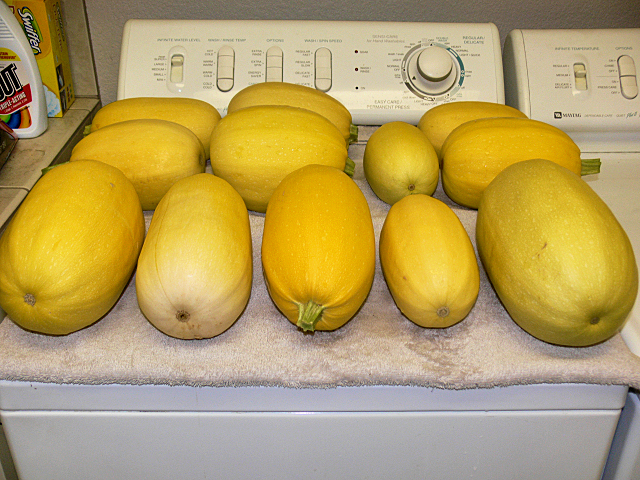 SpaghettiSquash1_071217.jpg