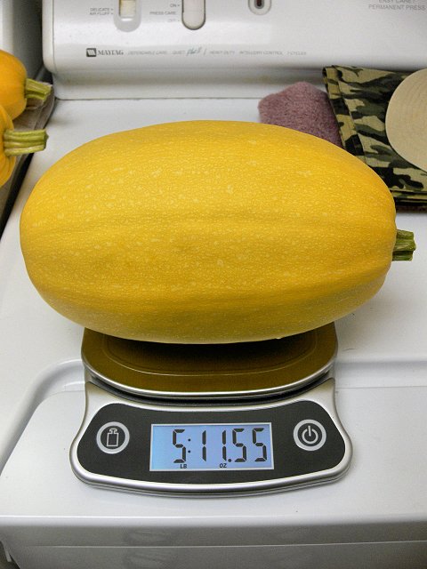 SpaghettiSquash2_071217.jpg