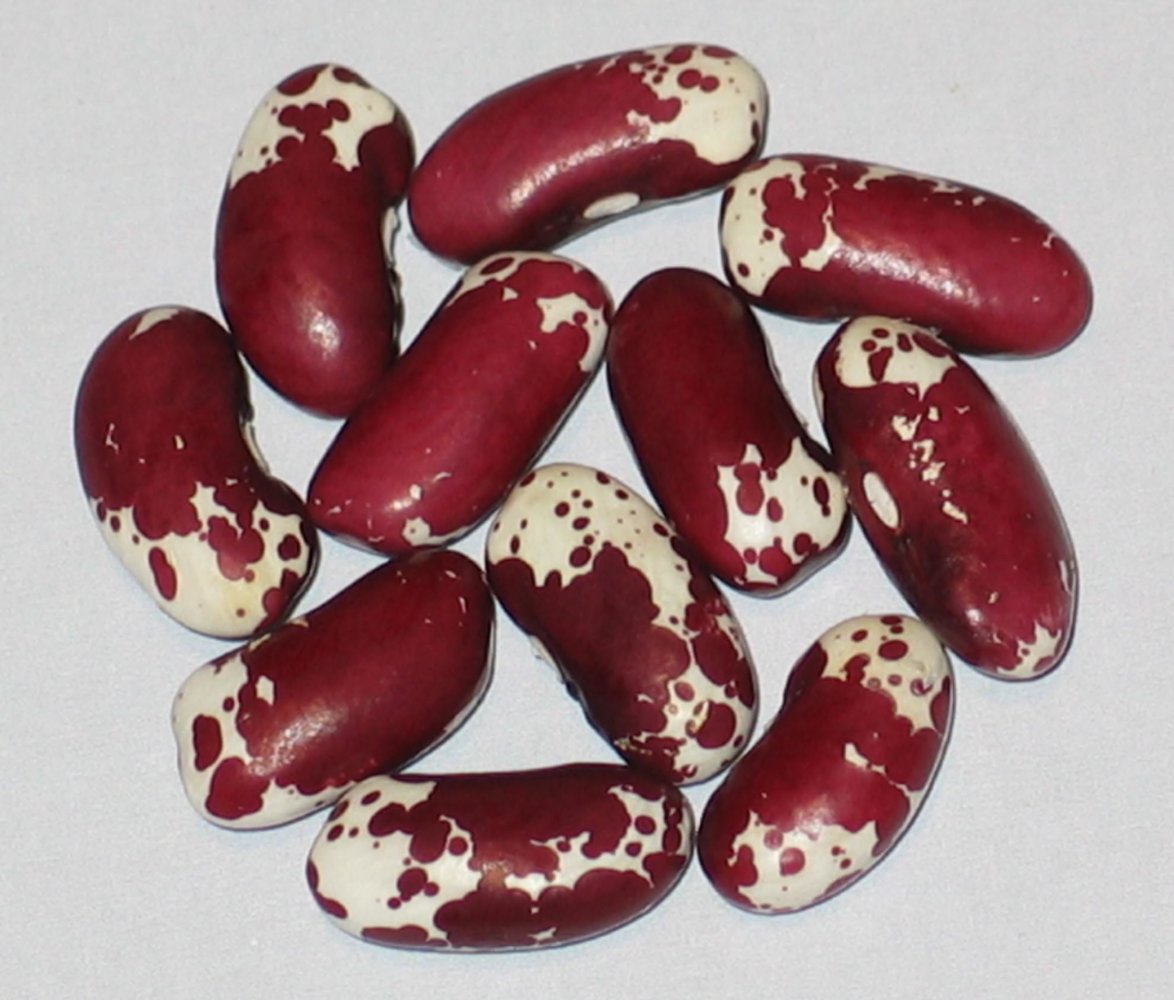 Speckled 1770 - Red.jpg