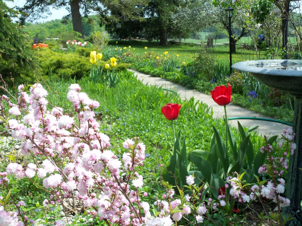 spring 2013B 004.JPG