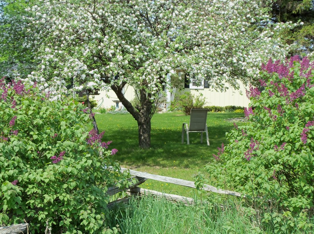 spring 2013B 010.JPG