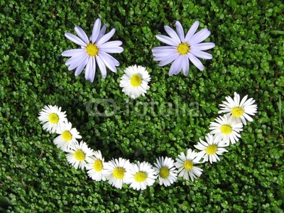 spring smile.jpg