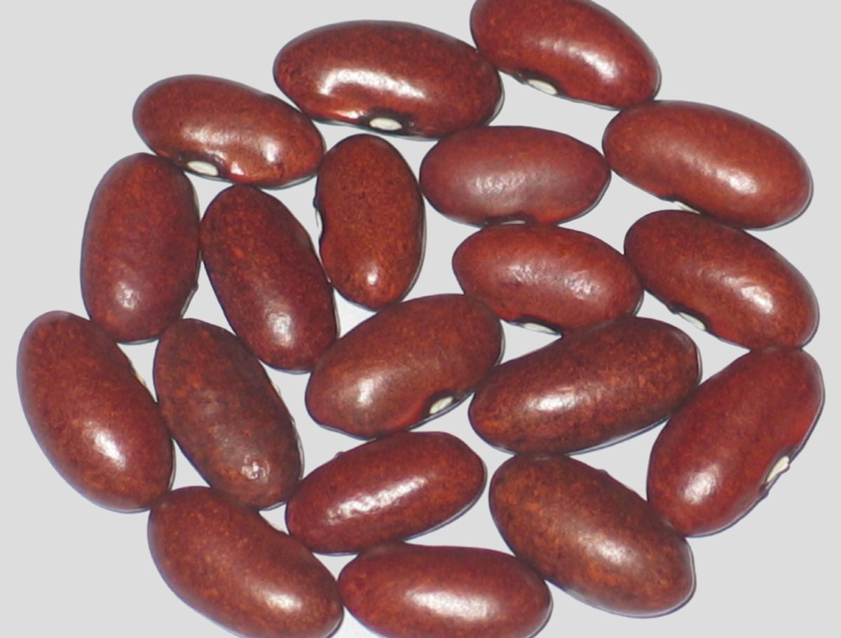 Spring Valley Purple.jpg