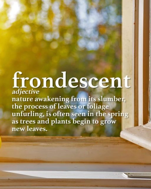 spring  word.jpg