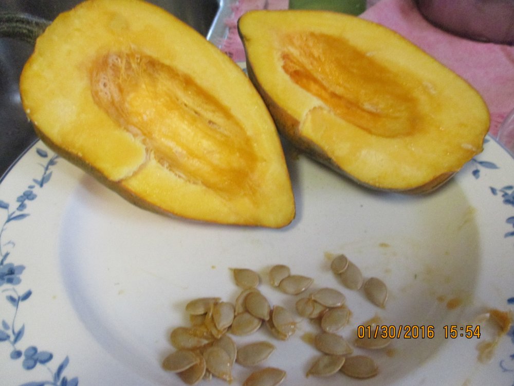Squash cut.jpg