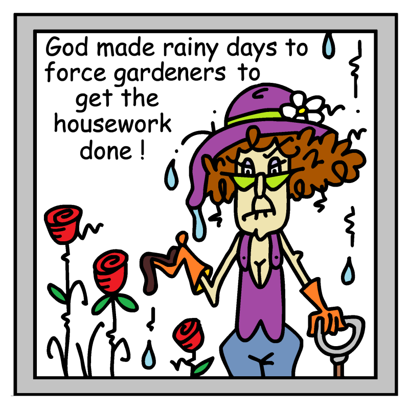 STB rainy days.png