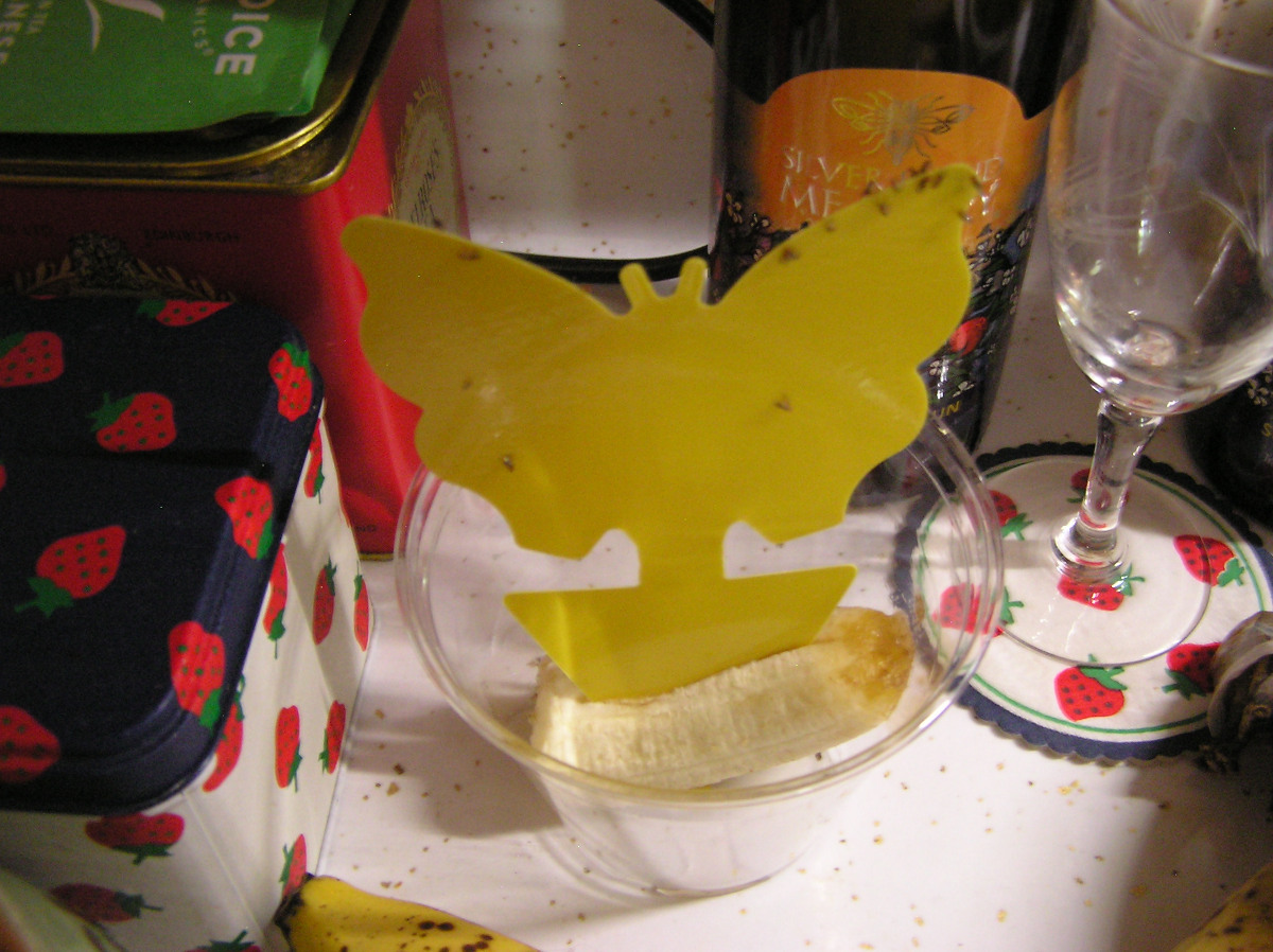StickyFruitFlyTrap.JPG