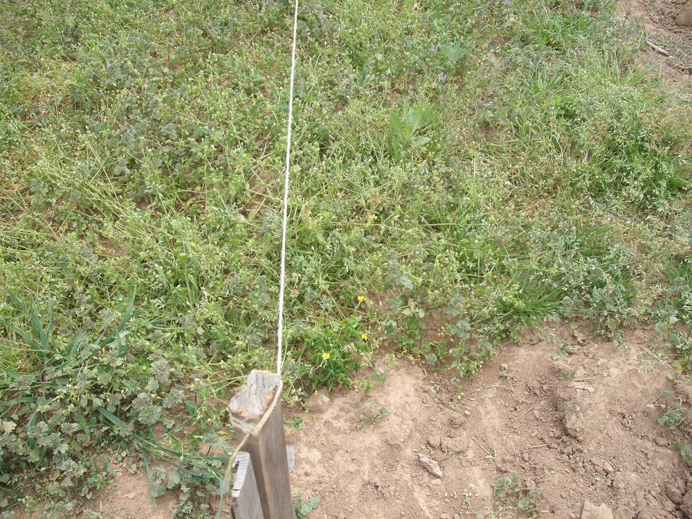 Straight Line.JPG