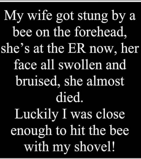 stung by a bee.jpg