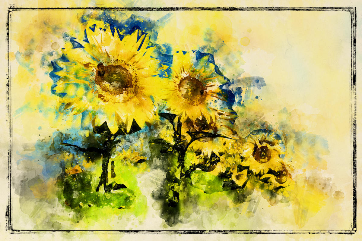 SunflowerfieldWatercolor_TlcCreations.jpg