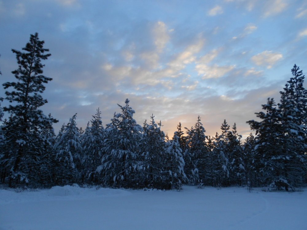 sunrise and before & after CC CA 075.JPG