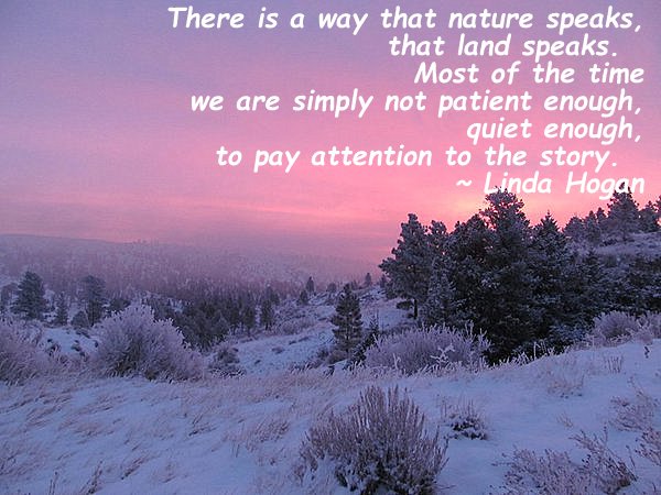 sunrise in winter.jpg