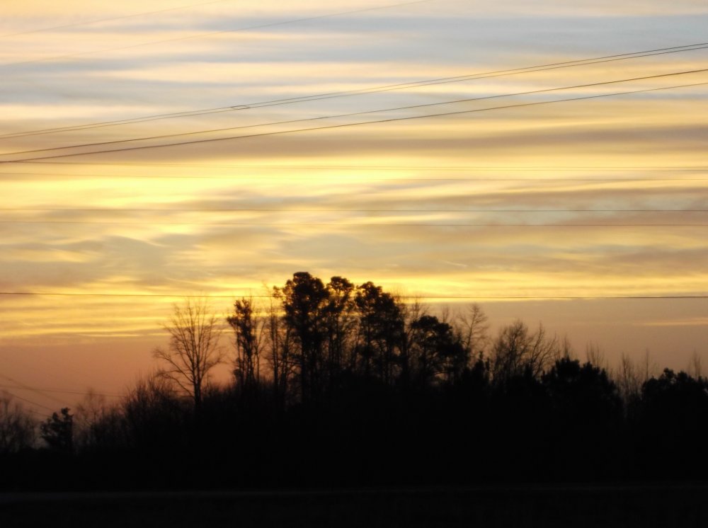 sunrise12114.jpg