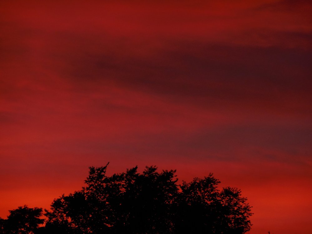 sunset oct 9 2015 flames.JPG