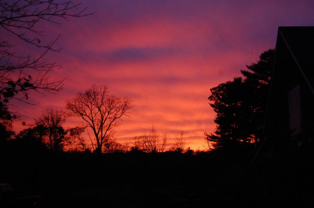 sunset on barn.jpg
