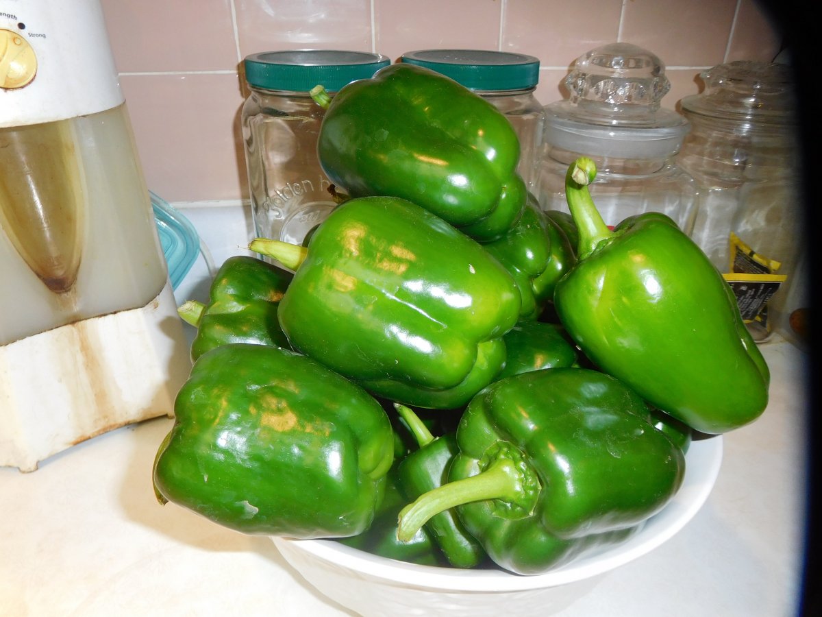 Sweet Peppers, OCt13, 2019.JPG