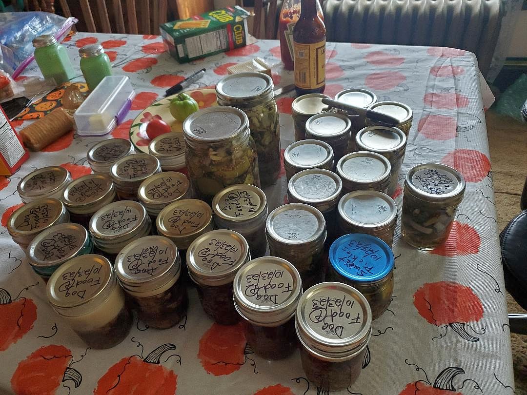 Sweet pickles, 10-24-23, #4.jpg