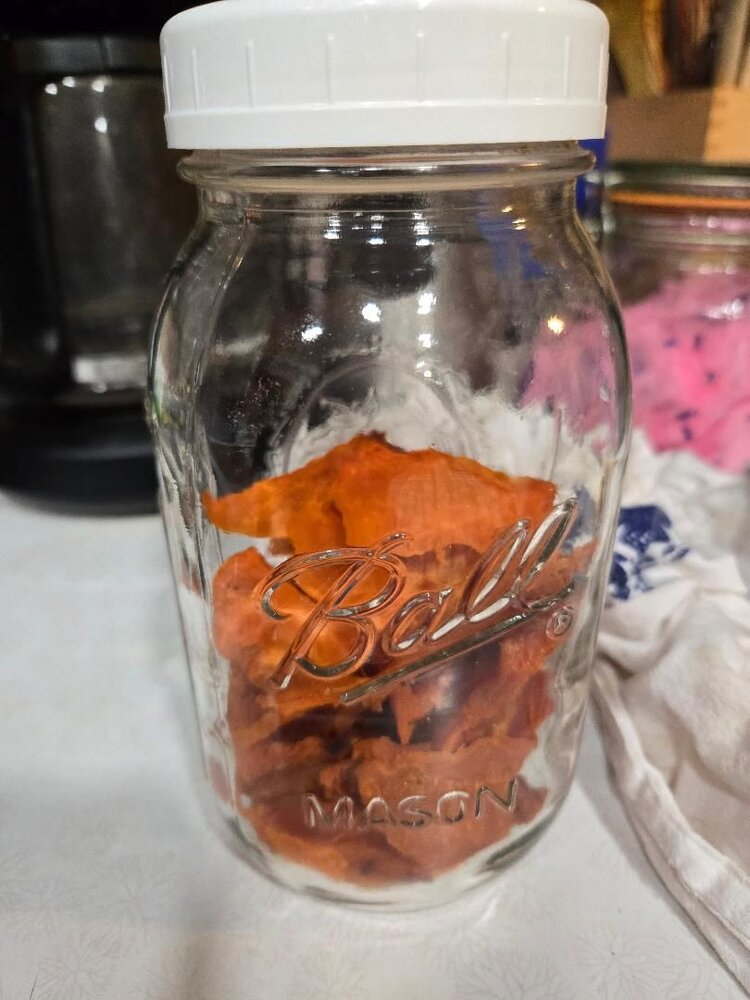 Sweet potato treats for Sasha & Tegan, 09-07-25.jpg