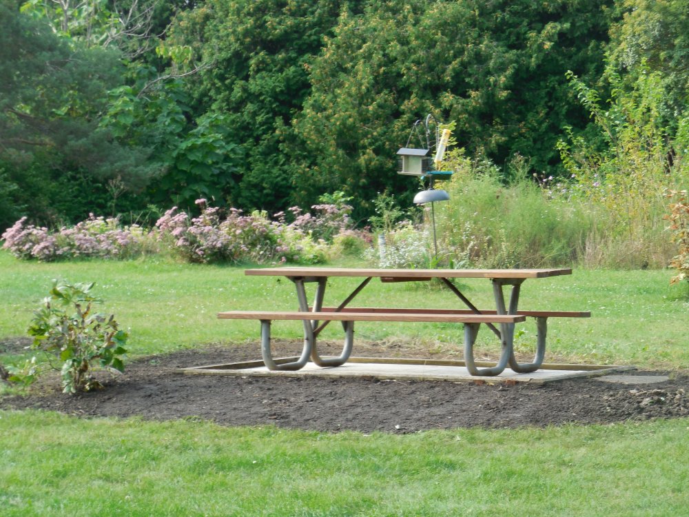 Table new site.JPG