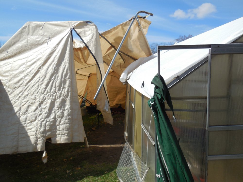 tarp shelter wind.JPG