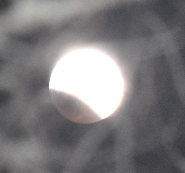teg 1st moon stage.jpg