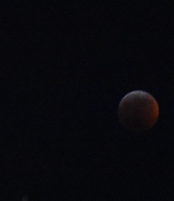teg blood moon.jpg