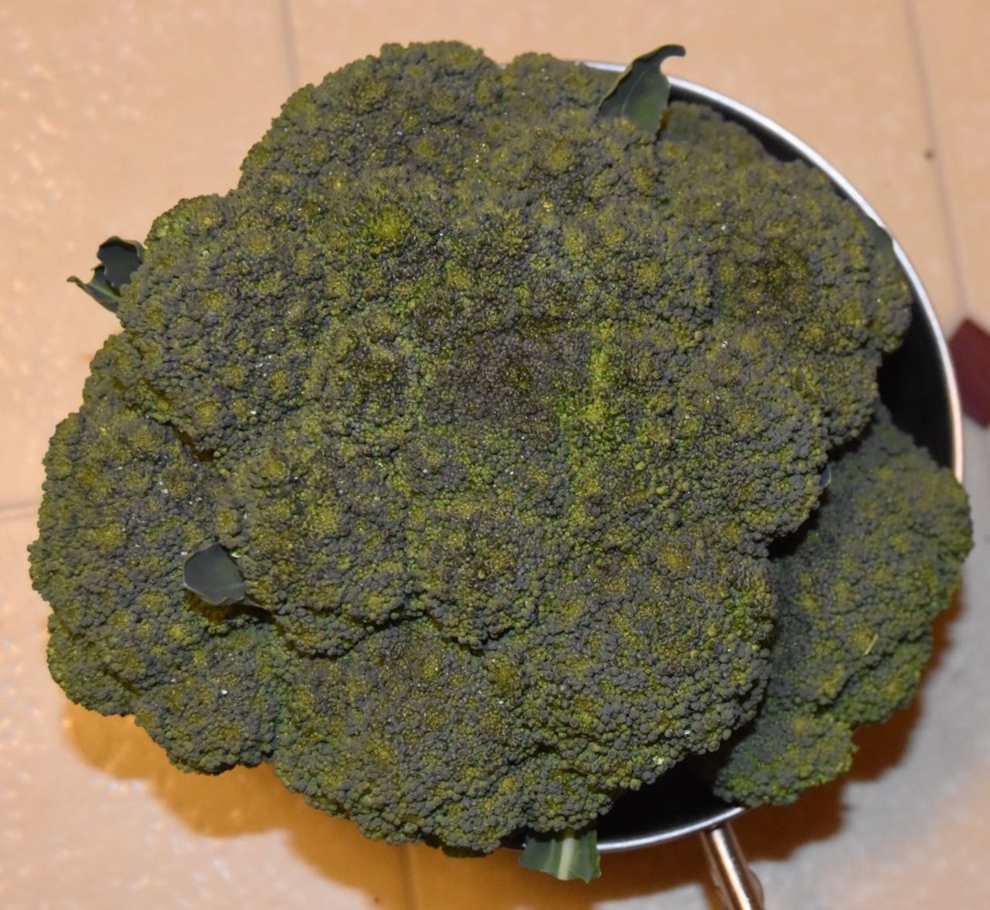 teg broccoli.jpg