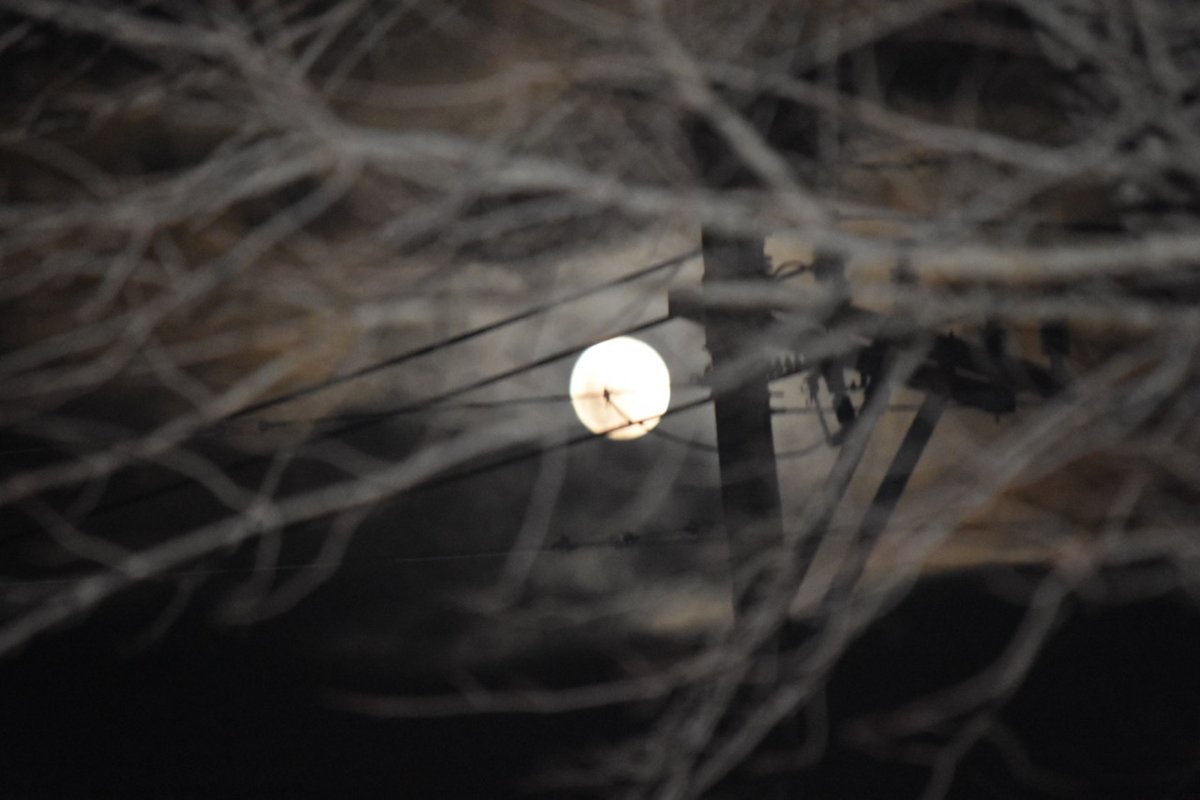 teg full moon 2.jpg
