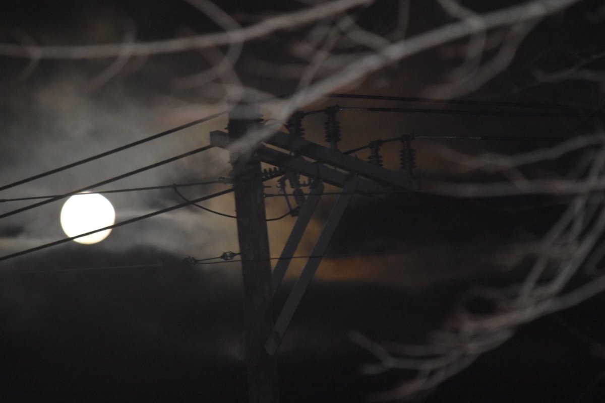 teg full moon.jpg