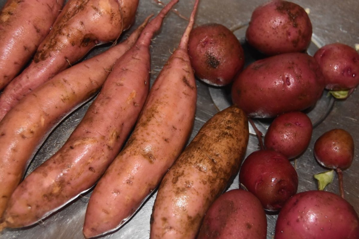 teg potatoes.jpg