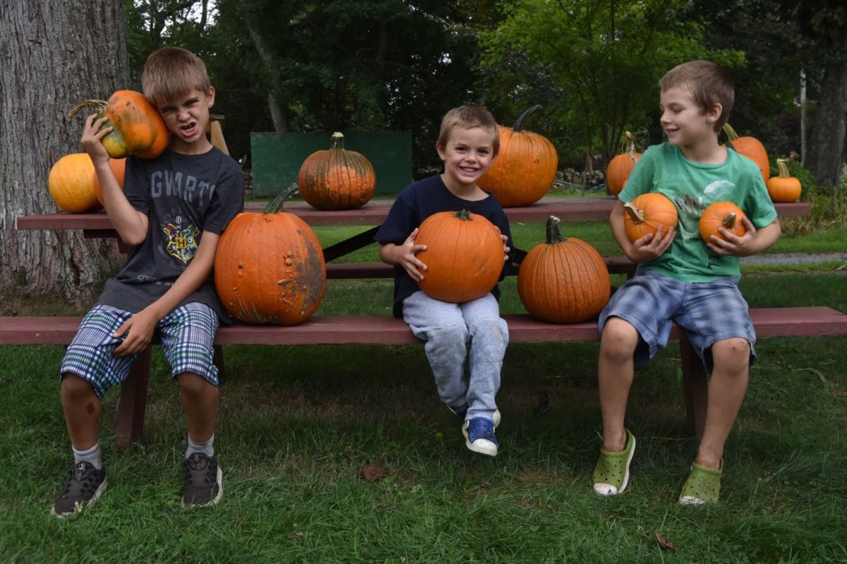 teg pumpkins 3 boys.jpg