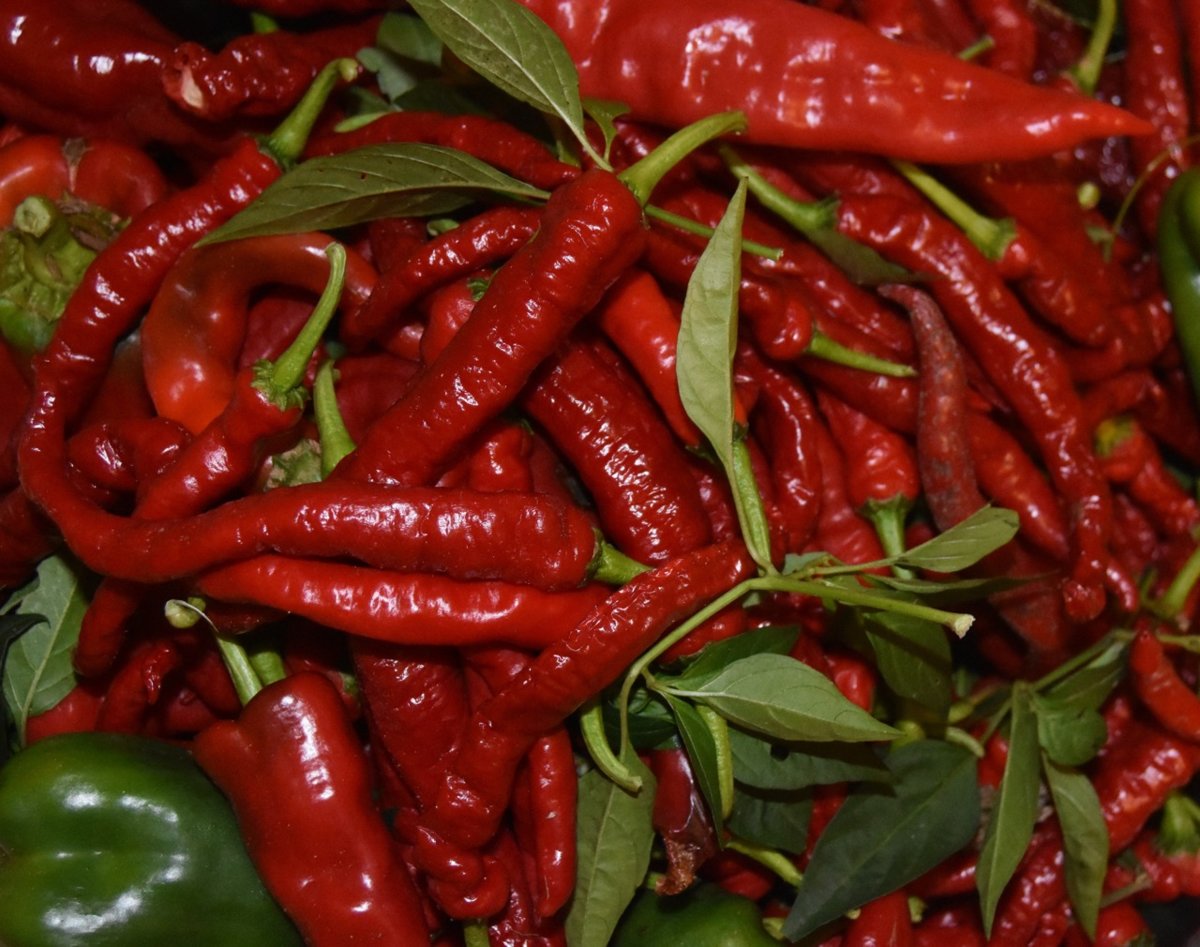 teg red peppers.jpg