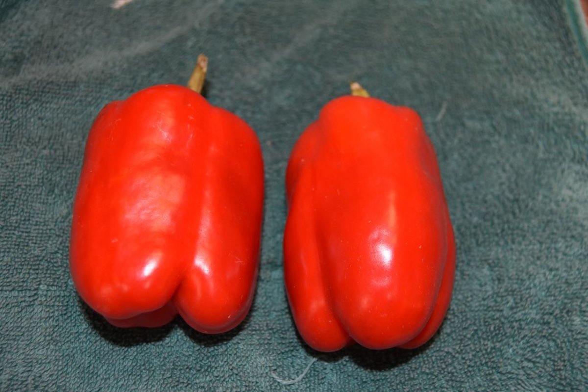 teg red peppers.jpg