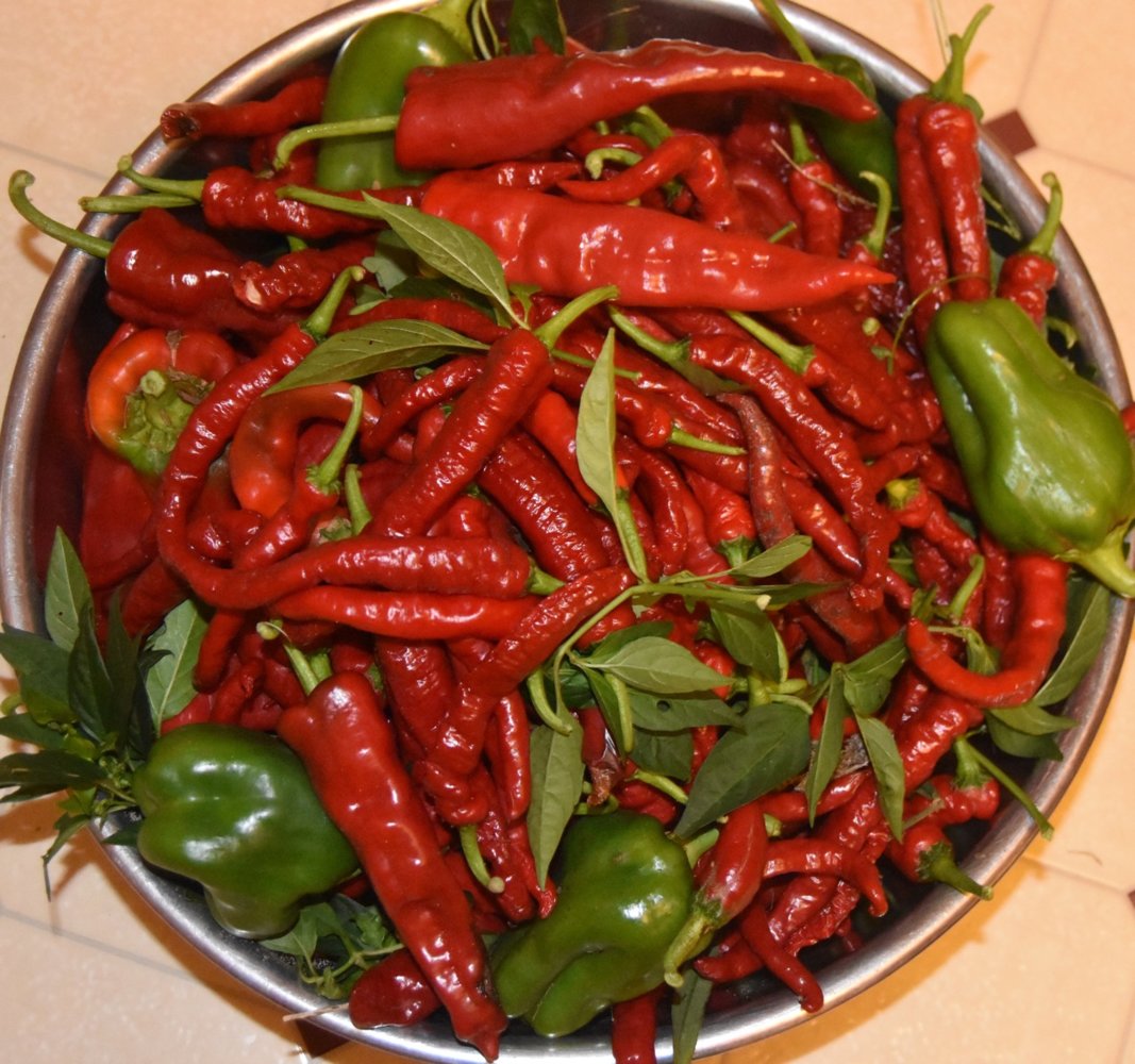teg red peppersbowl.jpg