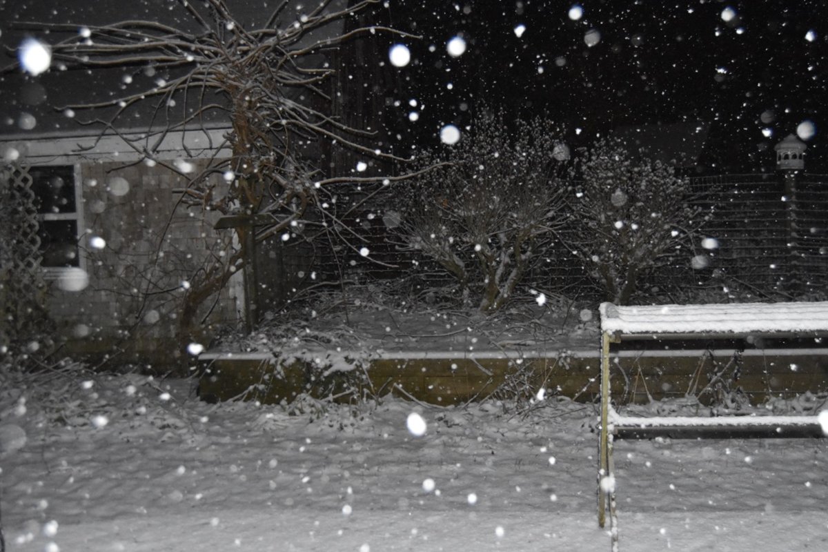 teg snow.jpg