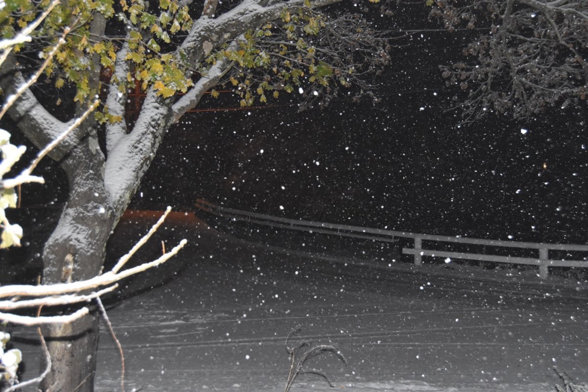 teg snow.jpg