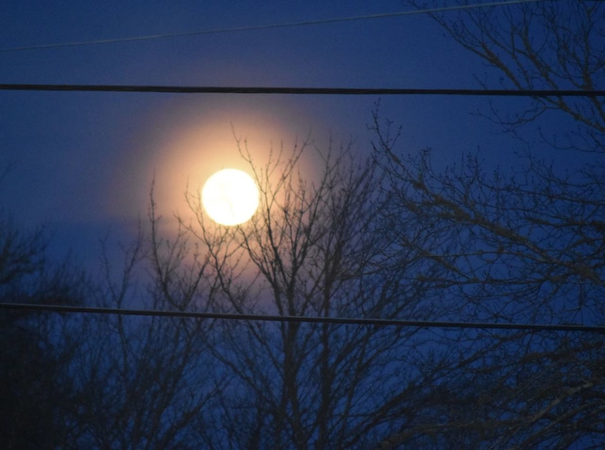 teg supermoon.jpg